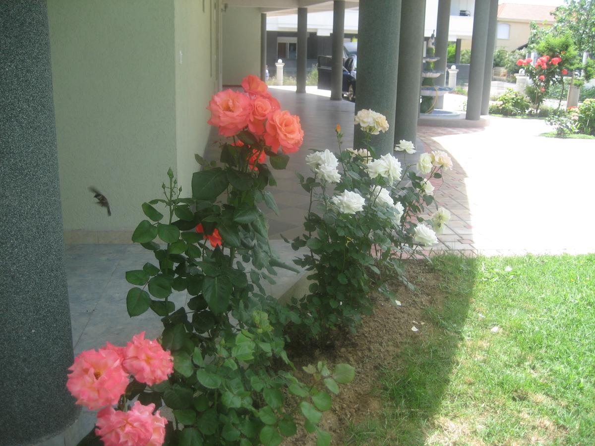 Guest House Vila Mimoza Ulcinj Eksteriør billede