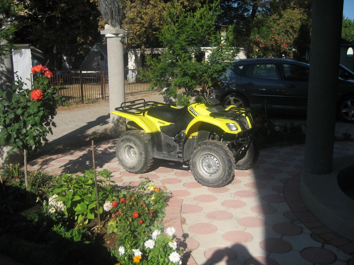 Guest House Vila Mimoza Ulcinj Eksteriør billede